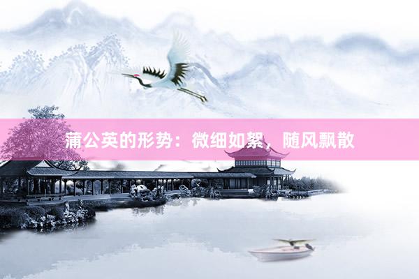 蒲公英的形势：微细如絮，随风飘散