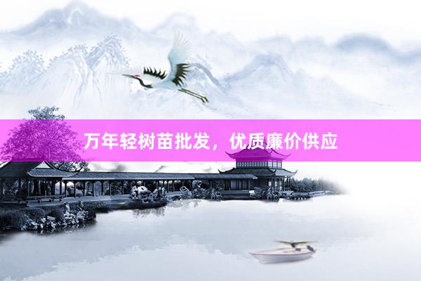 万年轻树苗批发，优质廉价供应