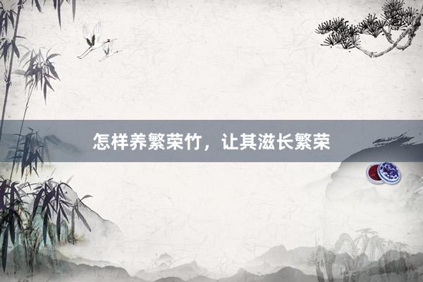 怎样养繁荣竹，让其滋长繁荣
